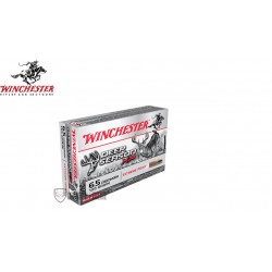 20 Munitions WINCHESTER...