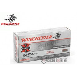 20 Munitions WINCHESTER...