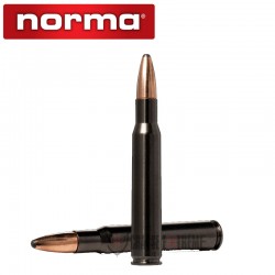 20 Munitions-Norma-Cal 30-06-180gr-Oryx-Silencer