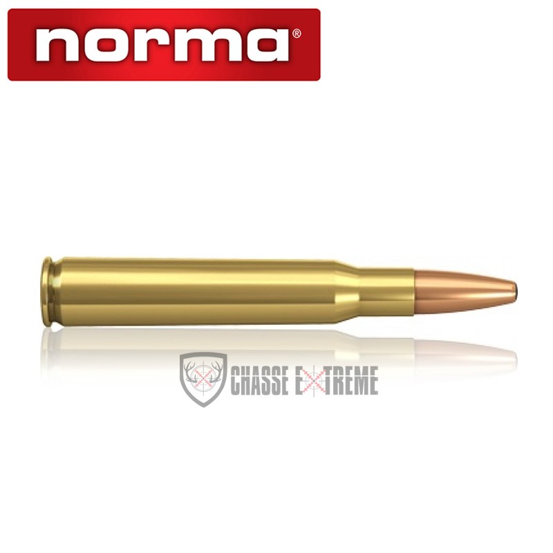 20 Munitions-NORMA-Cal 30-06-180gr-Oryx