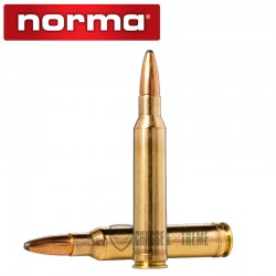 20 Munitions-NORMA-Cal 308 Norma Mag-180gr-Oryx