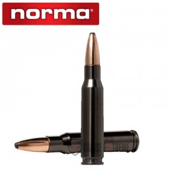 20 Munitions-NORMA-Cal 308 Win-165gr-Oryx-Silencer