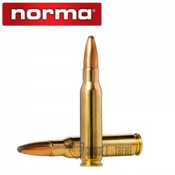 20 Munitions-NORMA-Cal 308 Win-165gr-Oryx