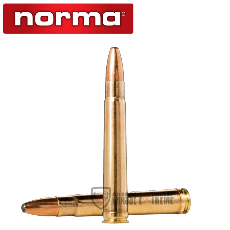 20 Munitions-NORMA-Cal 375 H&H Mag-300gr-Oryx
