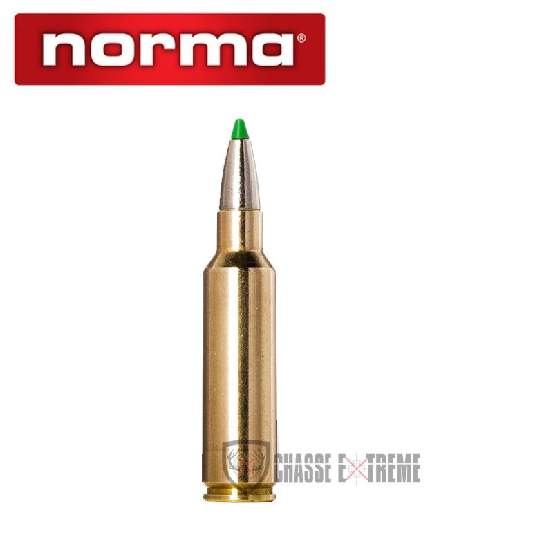20 Munitions-NORMA-Ctg-cal 300 Wsm-165gr-Ecostrike