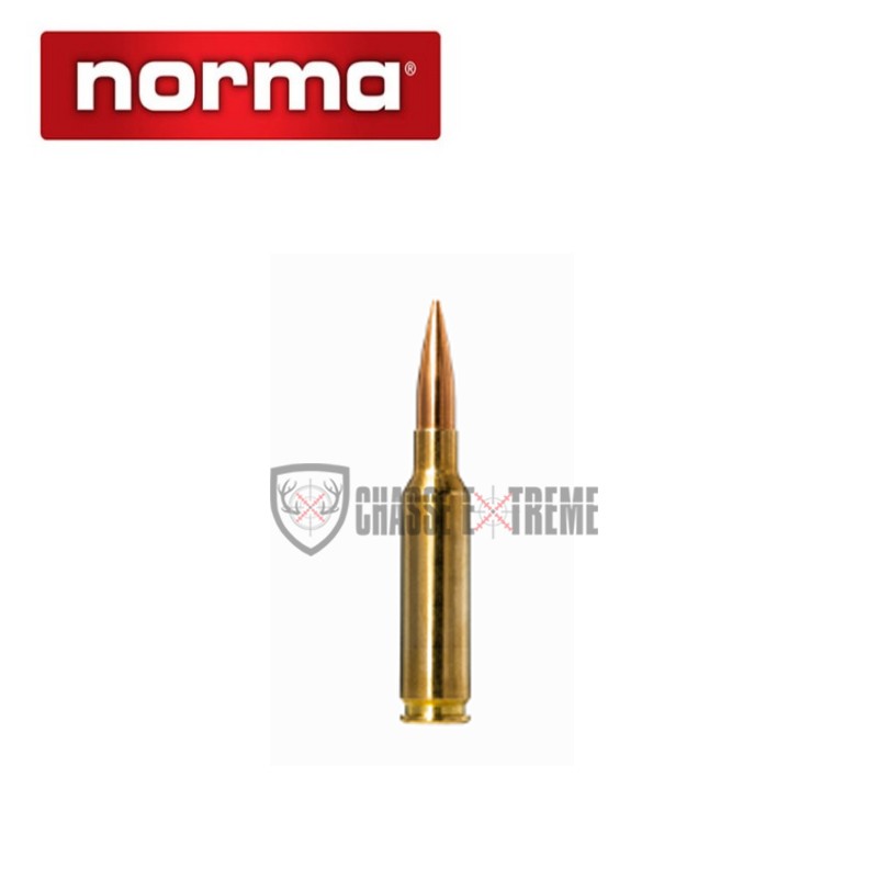 20-munitions-norma-cal-65-creedmoor-143gr-golden-target