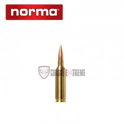 20-munitions-norma-cal-65-prc-143gr-golden-target