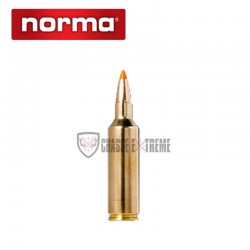 20-munitions-norma-ctg-cal-270-wsm-140gr-tipstrike