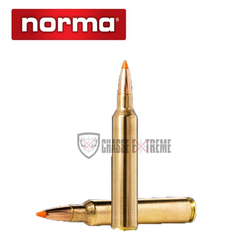 20-munitions-norma-calibre-65-creedmoor-140gr-tipstrike