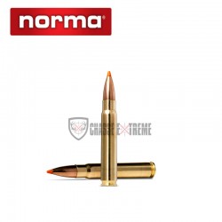 20-munitions-norma-cal-93x62-255gr-tipstrike-