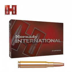 20-munitions-hornady-international-cal-30-06-165-gr-ecx
