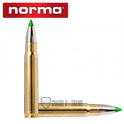 20-munitions-norma-cal-93x62-230gr-ecostrike-