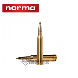 20-munitions-norma-ctg-cal-7mm-rem-mag-127gr-evostrike
