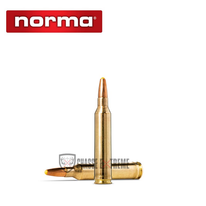 20-munitions-norma-cal-7mm-170-gr-pointe-plastique