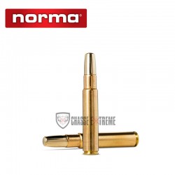 10-munitions-norma-solide-cal-450-rigby-rimless-500gr