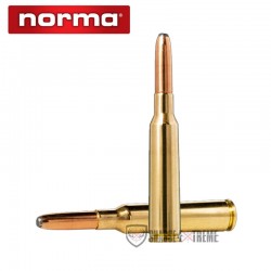 20-munitions-norma-ctg-cal-65x55-156-gr-whitetail