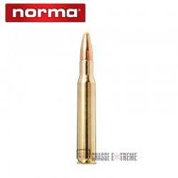 20-munitions-norma-cal-30-06-180-gr-pointe-plastique