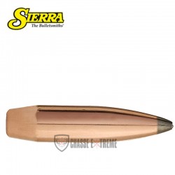 100-ogives-sierra-calibre-308-win-200gr-hpbt