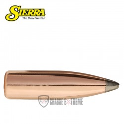100-ogives-sierra-calibre-303-british-180gr-spt